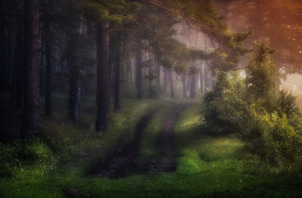 Photograph Tatiana Biriukova Morning Fog on One Eyeland