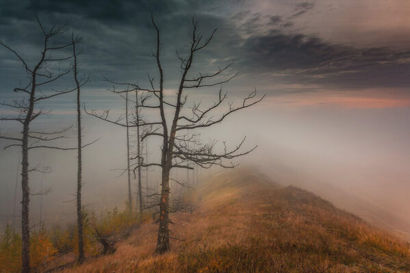 Photograph Tatiana Biriukova Fog on One Eyeland