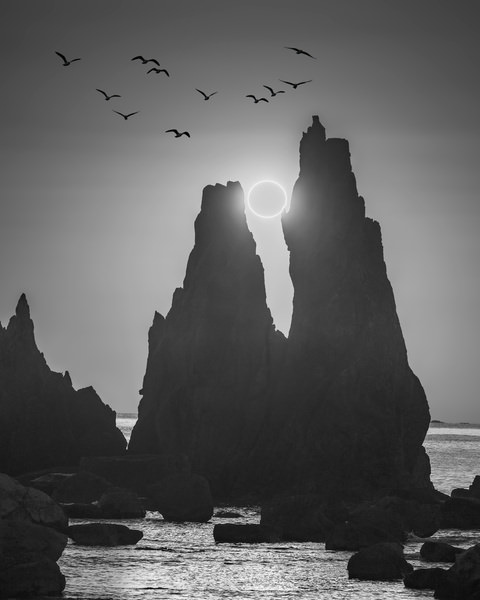 Photograph Vu Quan Wolf And Sun on One Eyeland