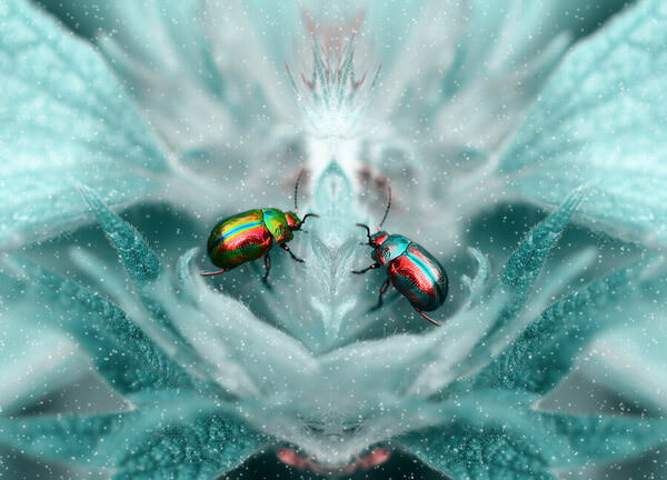 Photograph Dmitry Saltykov Begin on One Eyeland