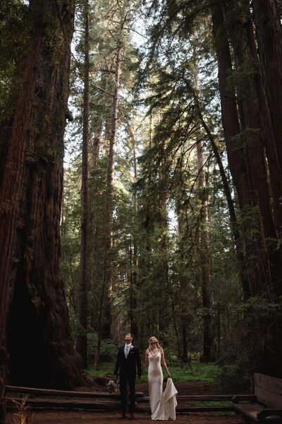 Photograph Jennifer Petty California Redwood Elopement on One Eyeland