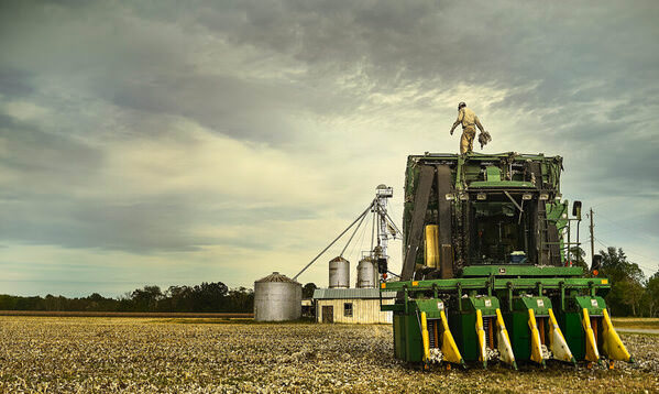 Photograph Robb Scharetg Hustling In The Cotton on One Eyeland