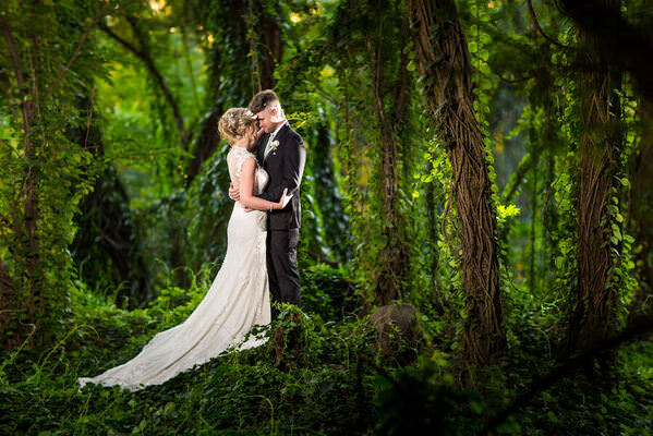 Photograph Daniel West Forest on One Eyeland