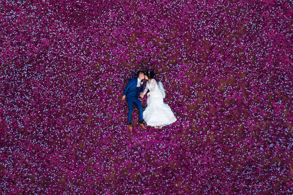 Photograph Daniel West Purple Roses on One Eyeland