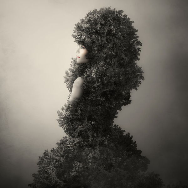 Photograph Kazutoshi Kawakami Tree Dress on One Eyeland