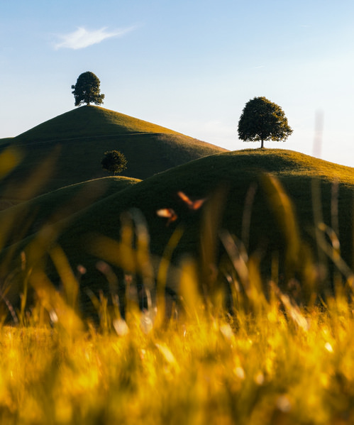 Photograph Matteo Rolfi Gold Of Switzerland on One Eyeland