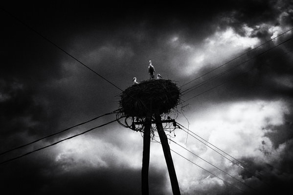 Photograph Samanta Krivec At The Crossroads on One Eyeland
