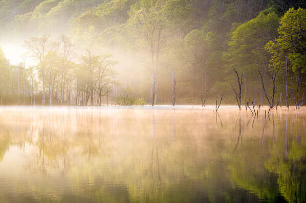 Photograph Yuusei Nagahata Dazzling Lakeside Morning on One Eyeland