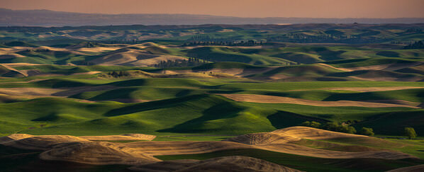 Photograph Joshua Smith Undulating on One Eyeland