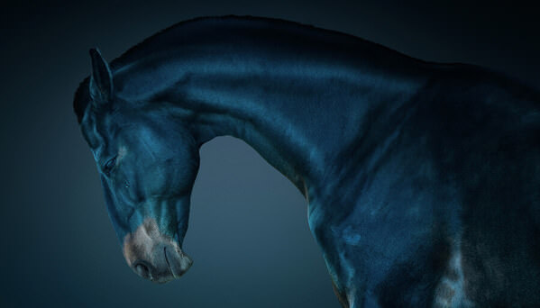 Photograph Ruadh Delone The Machine on One Eyeland