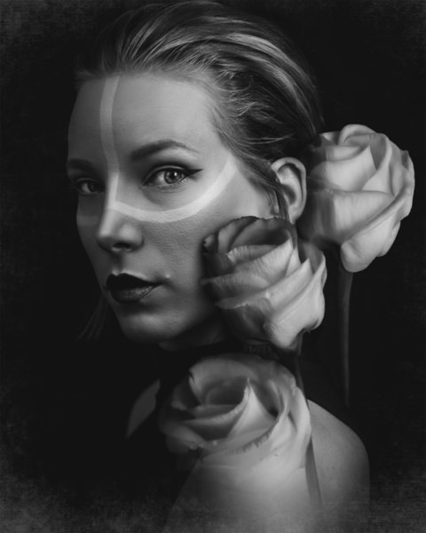 Photograph Kim Metzger Echo Of A Rose on One Eyeland