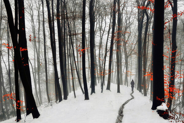 Photograph Samanta Krivec Through Autumn And Winter on One Eyeland