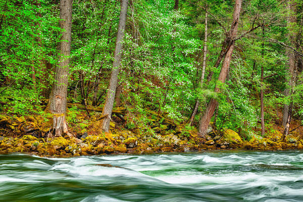 Photograph Claude Bossel River Flow Yosemite California on One Eyeland