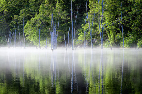 Photograph Yuusei Nagahata Green Morning Lakeside on One Eyeland
