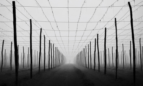 Photograph Samanta Krivec Walking Dead on One Eyeland