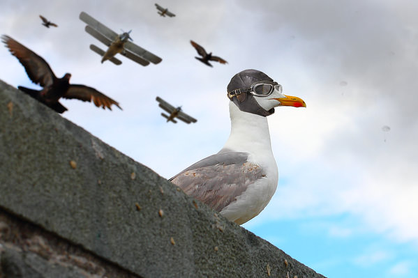 Photograph Dmitry Saltykov Our Service Is Both Dangerous And Difficult on One Eyeland