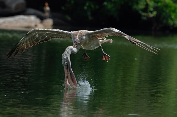 Photograph Anandhu M Art Of Fishing on One Eyeland