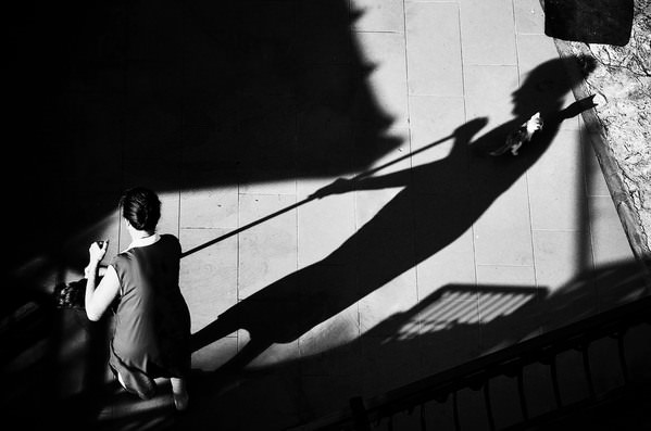 Photograph Samanta Krivec Chasing The Mouse on One Eyeland