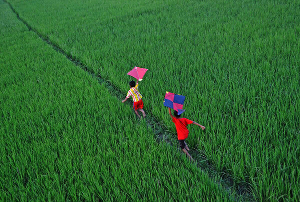 Photograph Chinmoy Biswas Through The Green on One Eyeland