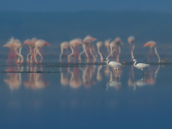 Photograph Anandhu M Different Perspective on One Eyeland