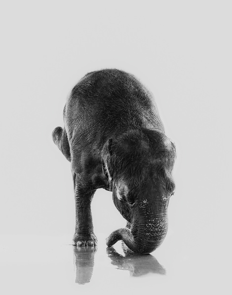 Photograph Christie Goldstein How She Rolls on One Eyeland