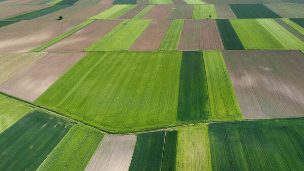 Photograph Ilija Stanusic Slavonia And Baranja on One Eyeland