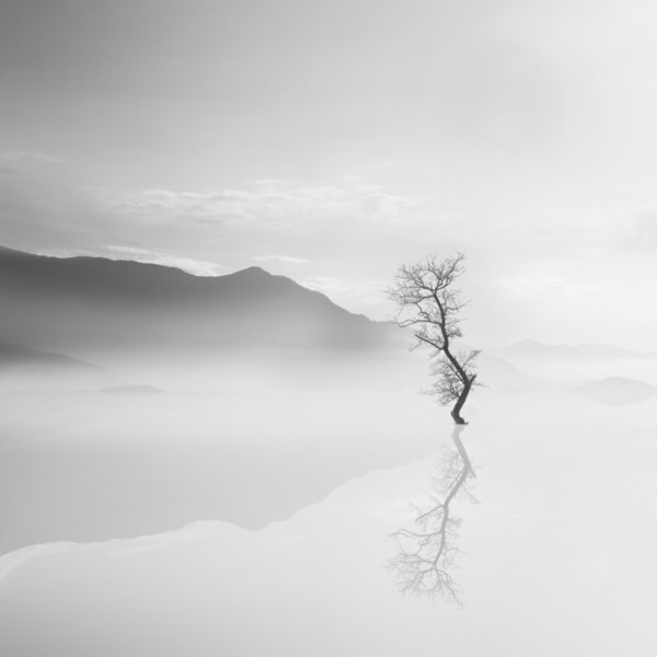 Photograph Mostafa Nodeh Dream Landscpes on One Eyeland