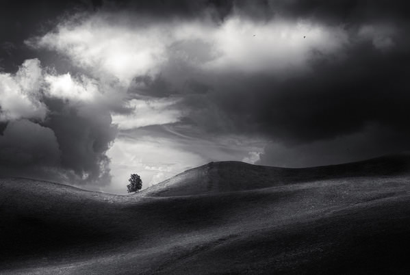Photograph Tatiana Biriukova Dark on One Eyeland