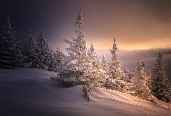 Photograph Tatiana Biriukova Winter Evening on One Eyeland