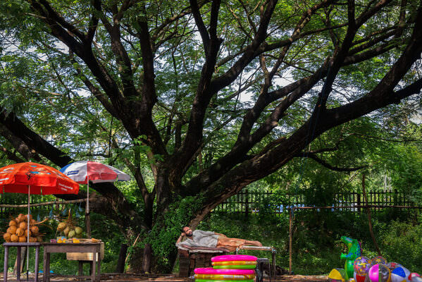 Photograph Satheesh Nair Gods Own Toy Store on One Eyeland