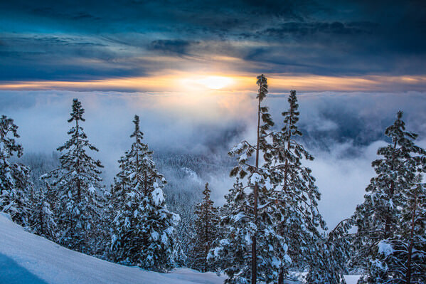 Photograph Joshua Smith Gaze on One Eyeland