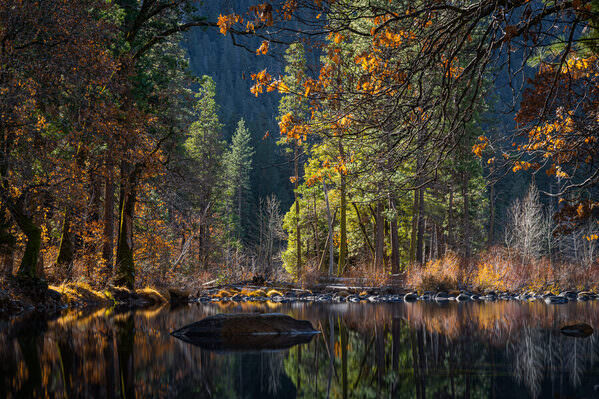 Photograph Joshua Smith Magical Light On The Merced River on One Eyeland