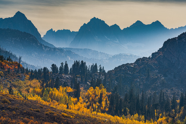 Photograph Joshua Smith Layered Gold on One Eyeland