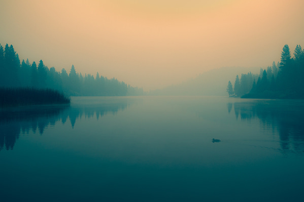 Photograph Joshua Smith Ghost on One Eyeland