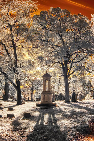 Photograph Larry Hamill Greenlawn Cemetery on One Eyeland