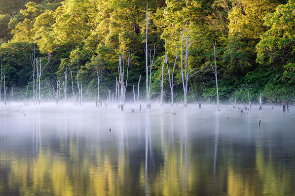 Photograph Yuusei Nagahata Shining Morning Lakeside on One Eyeland