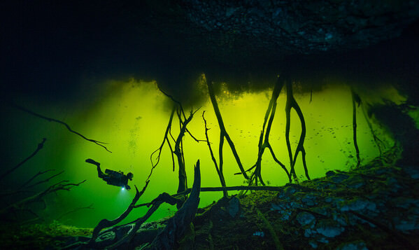 Photograph Naiara Altuna Underwater World on One Eyeland