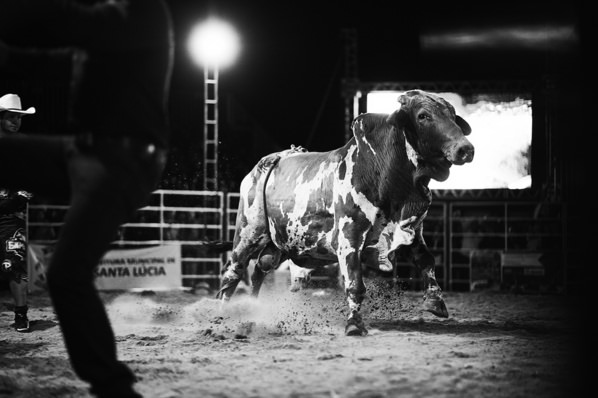 Photograph Edison Lucas At A Rodeo on One Eyeland