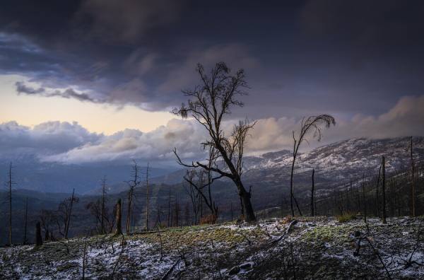 Photograph Joshua Smith I Remember Once Feeling The Sun on One Eyeland