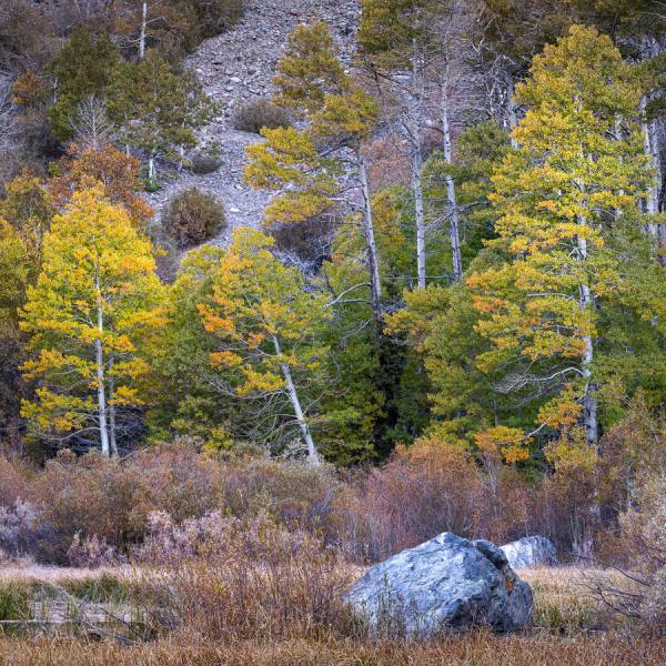Photograph Joshua Smith Autumnal on One Eyeland