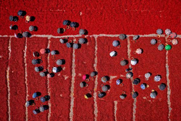 Photograph Azim Khan Ronnie Red Chilies Workers on One Eyeland