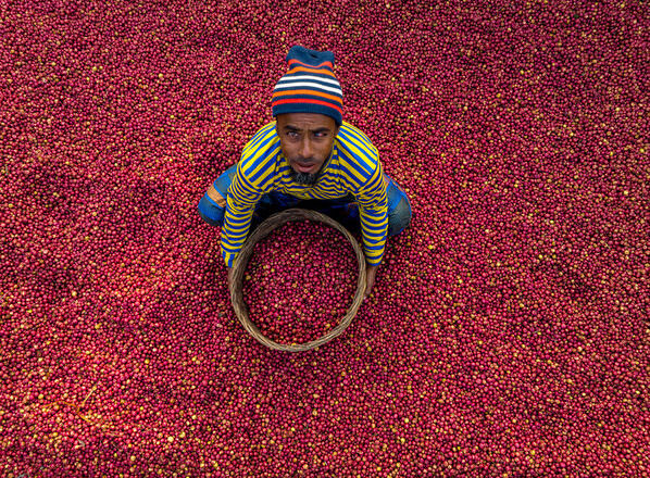 Photograph Azim Khan Ronnie Potato Seller on One Eyeland