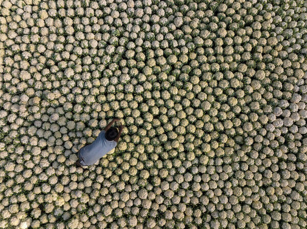 Photograph Azim Khan Ronnie Vegetable Market on One Eyeland