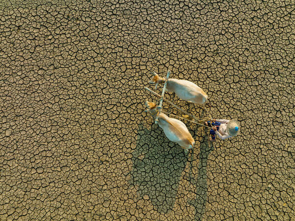 Photograph Azim Khan Ronnie Drought Land on One Eyeland