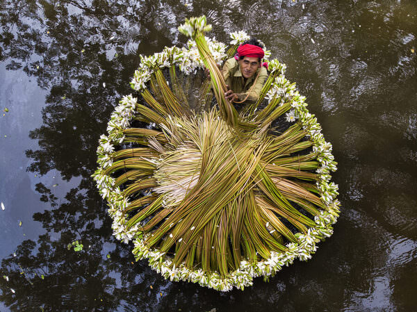 Photograph Azim Khan Ronnie Harvesting Waterlilies on One Eyeland