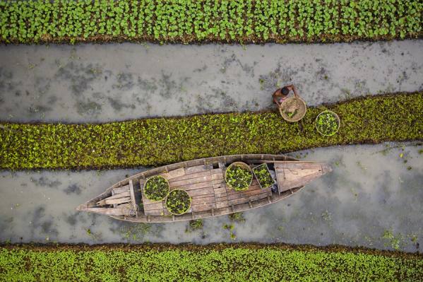 Photograph Azim Khan Ronnie Floating Garden 01 on One Eyeland
