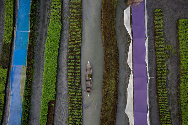 Photograph Azim Khan Ronnie Floating Garden 03 on One Eyeland