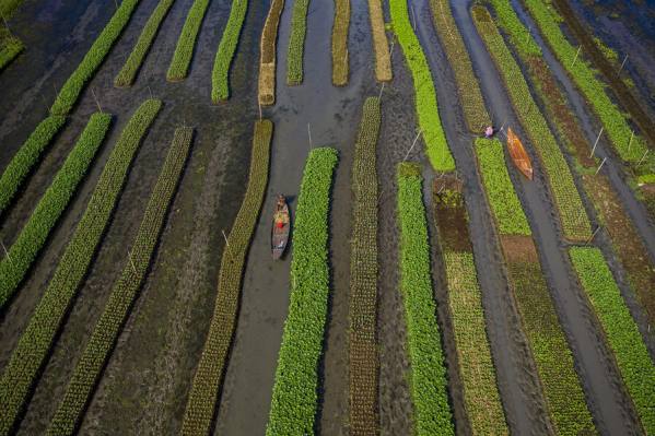 Photograph Azim Khan Ronnie Floating Garden 06 on One Eyeland