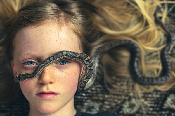 Photograph Emily Fisher Shadow Ii on One Eyeland
