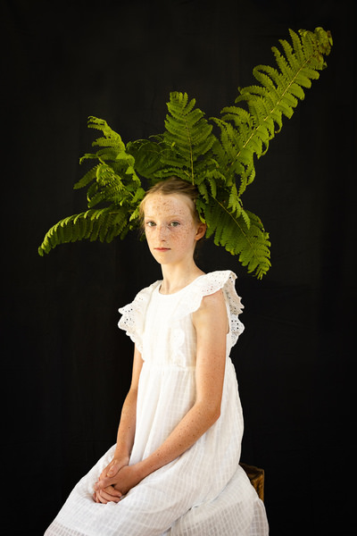Photograph Emily Fisher Ennobled Cinnamon Fern on One Eyeland